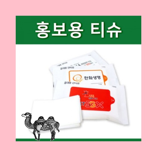 화이트 건티슈 10조
