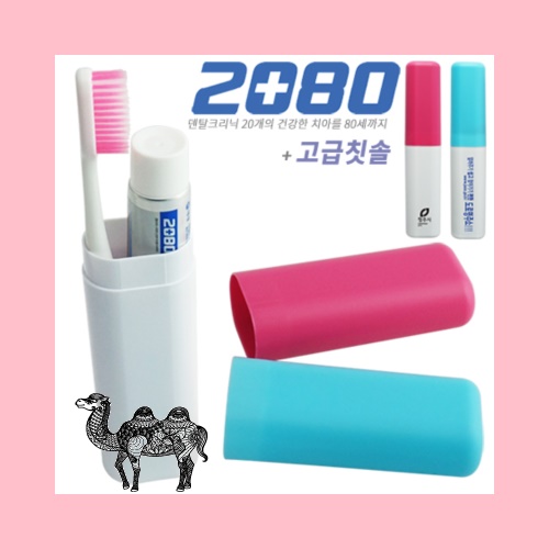 고급칫솔 2080 50g 타원케이스 세트