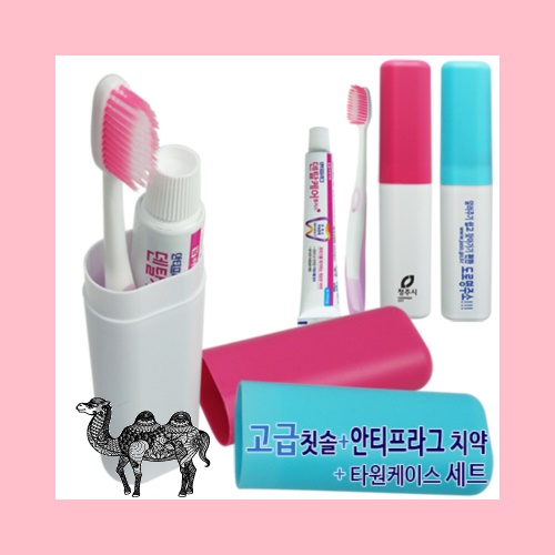 고급칫솔 안티프라그 치약50g 타원케이스 세트