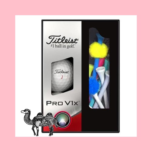 타이틀리스트 PRO V1X 3구 202 골프공선물세트