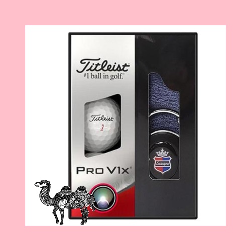 타이틀리스트 PRO V1X 3구 269 골프공선물세트