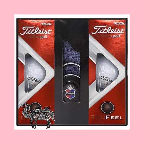 타이틀리스트 trufeel 6구 328 골프공선물세트