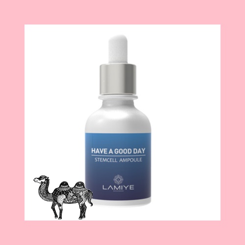 라미예 헤브어굿데이 스템셀 앰플 50ml