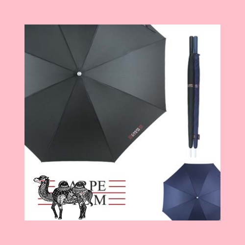 카르페디엠 H6 골프우산 CD106