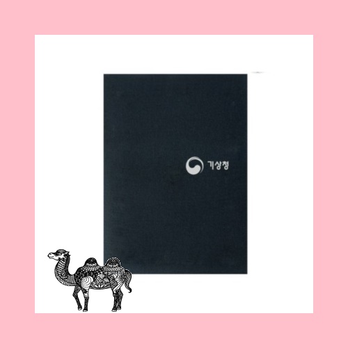 정부상장케이스