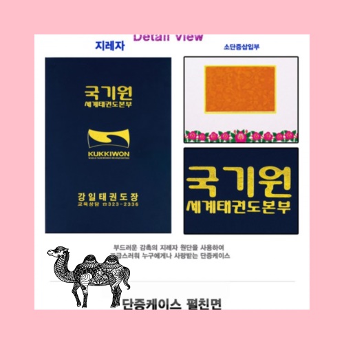 단증케이스