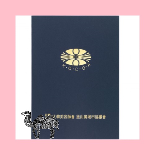 상장케이스 종이케이스 머메이드