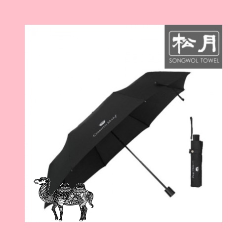 송월우산 CM 폰지