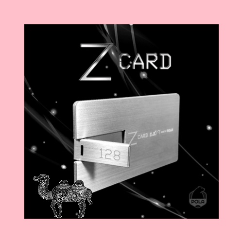 폴라 POLA CA760 USB 128G Z CARD