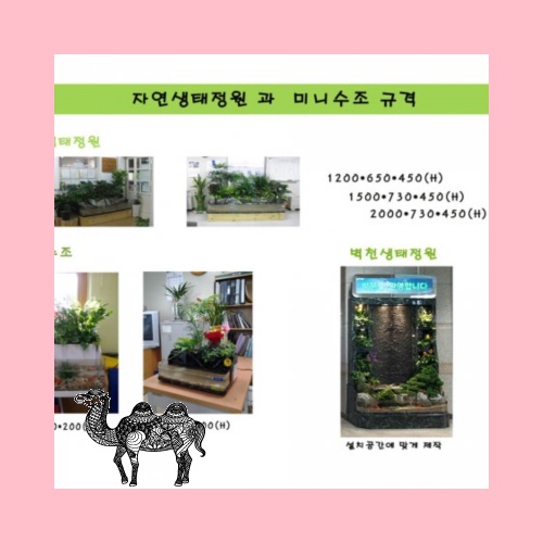 미니수조