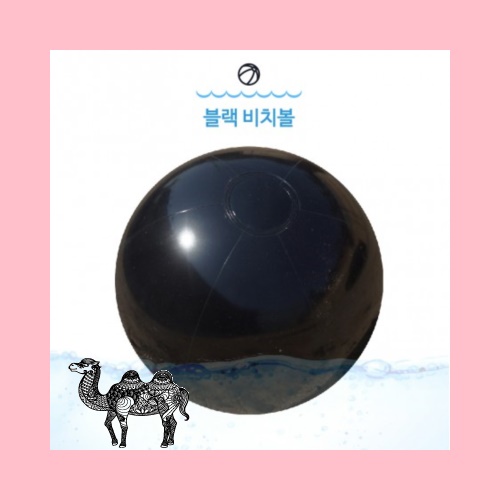 블랙 비치볼