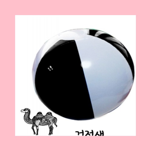 대2색 비치볼 검정 38~40cm