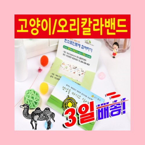 홍보용 고양이 오리캐릭터밴드