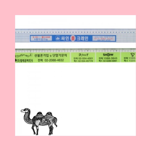 50사출자