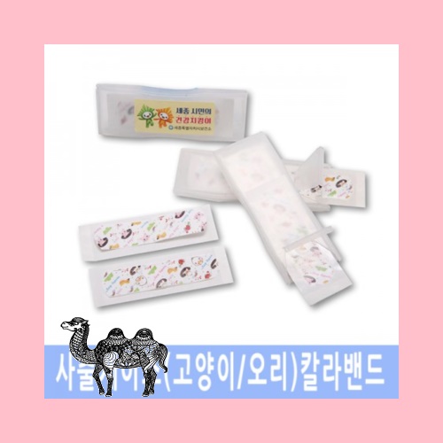 사출케이스 고양이 오리캐릭터밴드4p