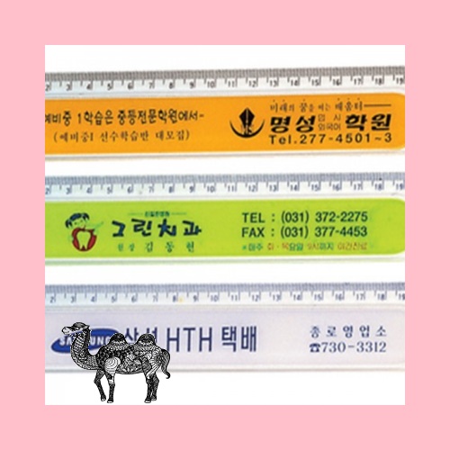 20홈 사출자