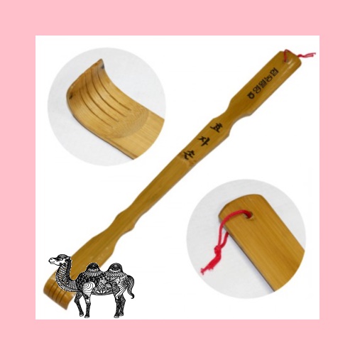 일반대나무효자손