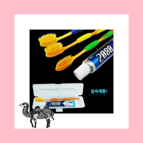 2080치약칫솔 치약치솔 판촉물 판촉용품 기념품 판촉용품 여행용품