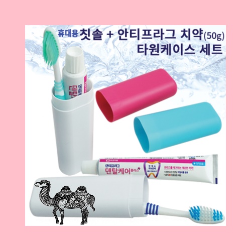 휴대용칫솔 안티프라그치약50g 타원케이스 세트