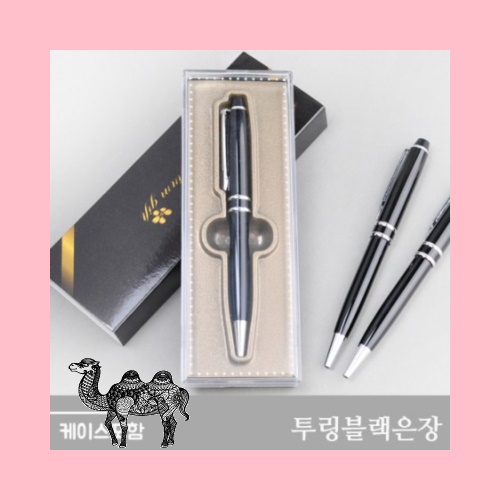투링블랙은장 케이스포함 볼펜