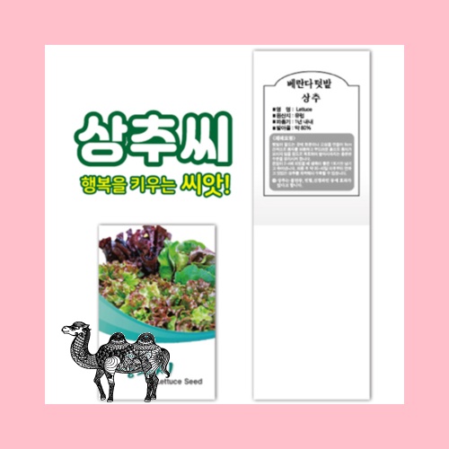 상추씨 100 입 내외
