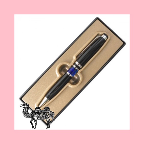 젠틀블루 케이스포함 볼펜