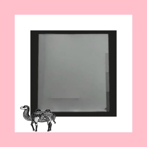 3분류 홀더 투명