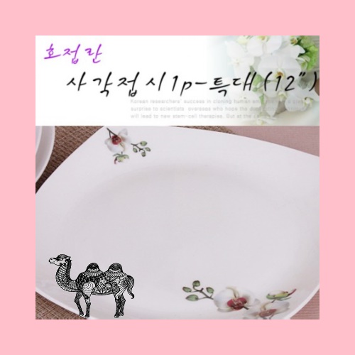 호접란 사각접시1p 특大 12인치