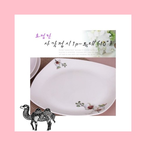 호접란 사각접시1p 특大 10인치