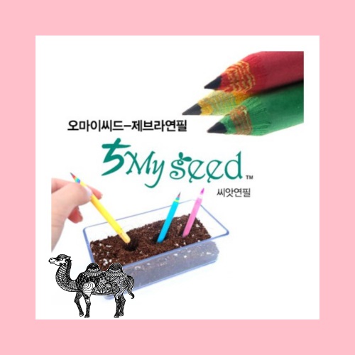 오마이씨드2본입 제브라몽당 씨앗연필