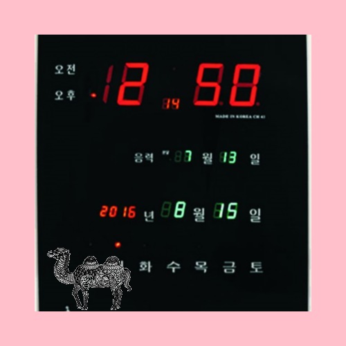 전파시계 41번