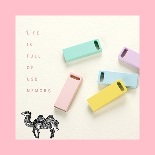 PASTEL S1000 USB메모리2.0 32G