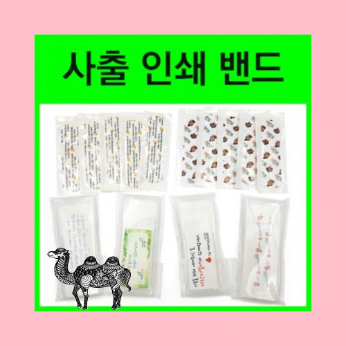 사출케이스 칼라밴드 인쇄형