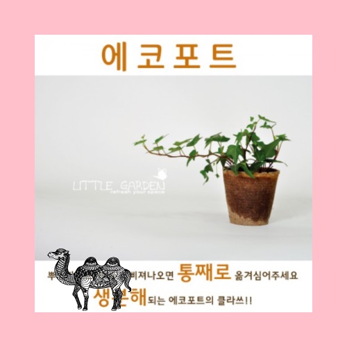 에코포트