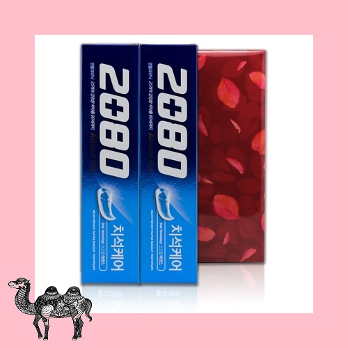 2080 어드밴스 치약 120g 2입 칫솔 덴탈용품