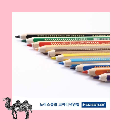 노리스클럽 코끼리색연필 연필