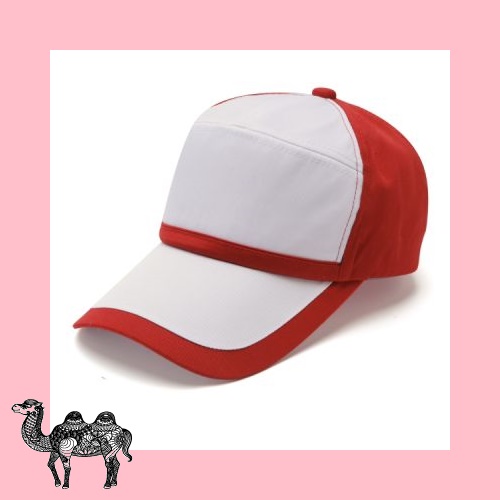 모자 2017 TS 36 모자