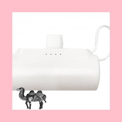 고속미니보조배터리 C타입 일체형 5000mAh