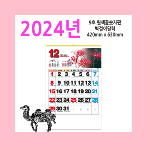 9호 원색꽃숫자판2024벽걸이달력