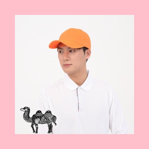 행사용 6각야구모자