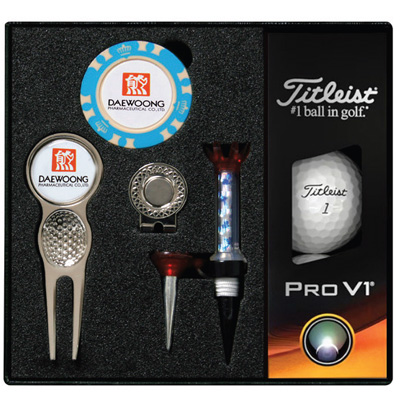 타이틀리스트 Pro V1 골프용품세트(실버)