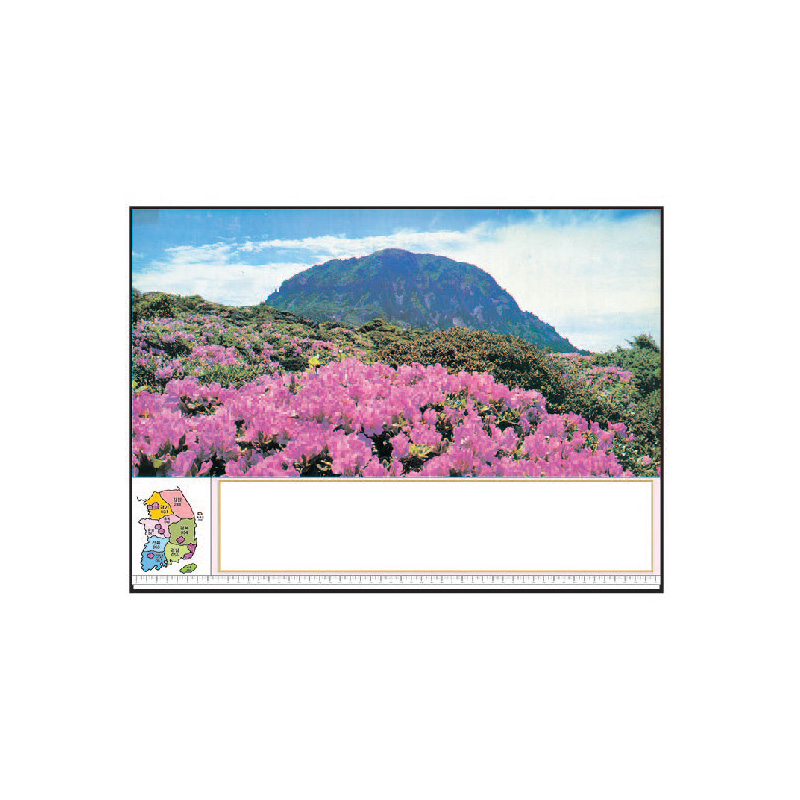 한라산철죽