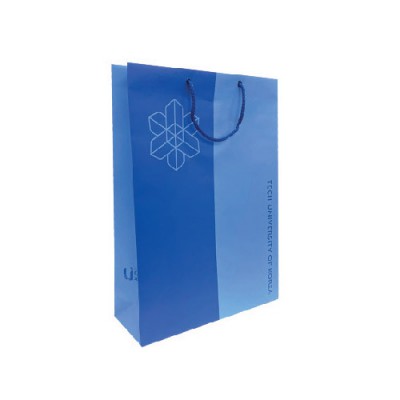 기업쇼핑백 250x90x320(mm)
