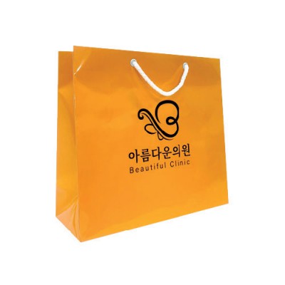 기업쇼핑백 270x100x250(mm)