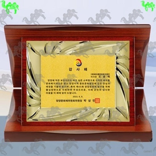 가리비상패 4381