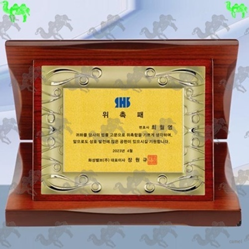 가리비상패 9841
