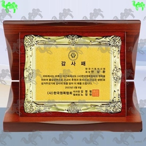 가리비상패 2589