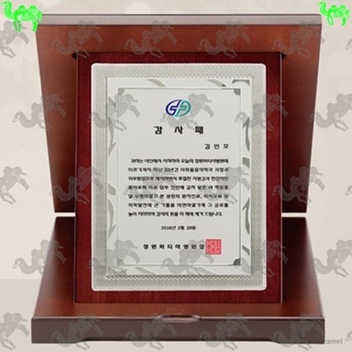 가리비상패 8539