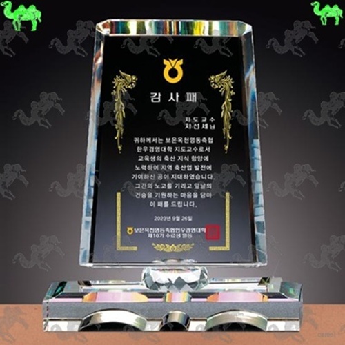 감사패 크리스탈상패 5104