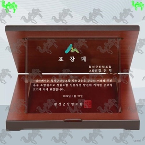 표창패 가리비상패 6481